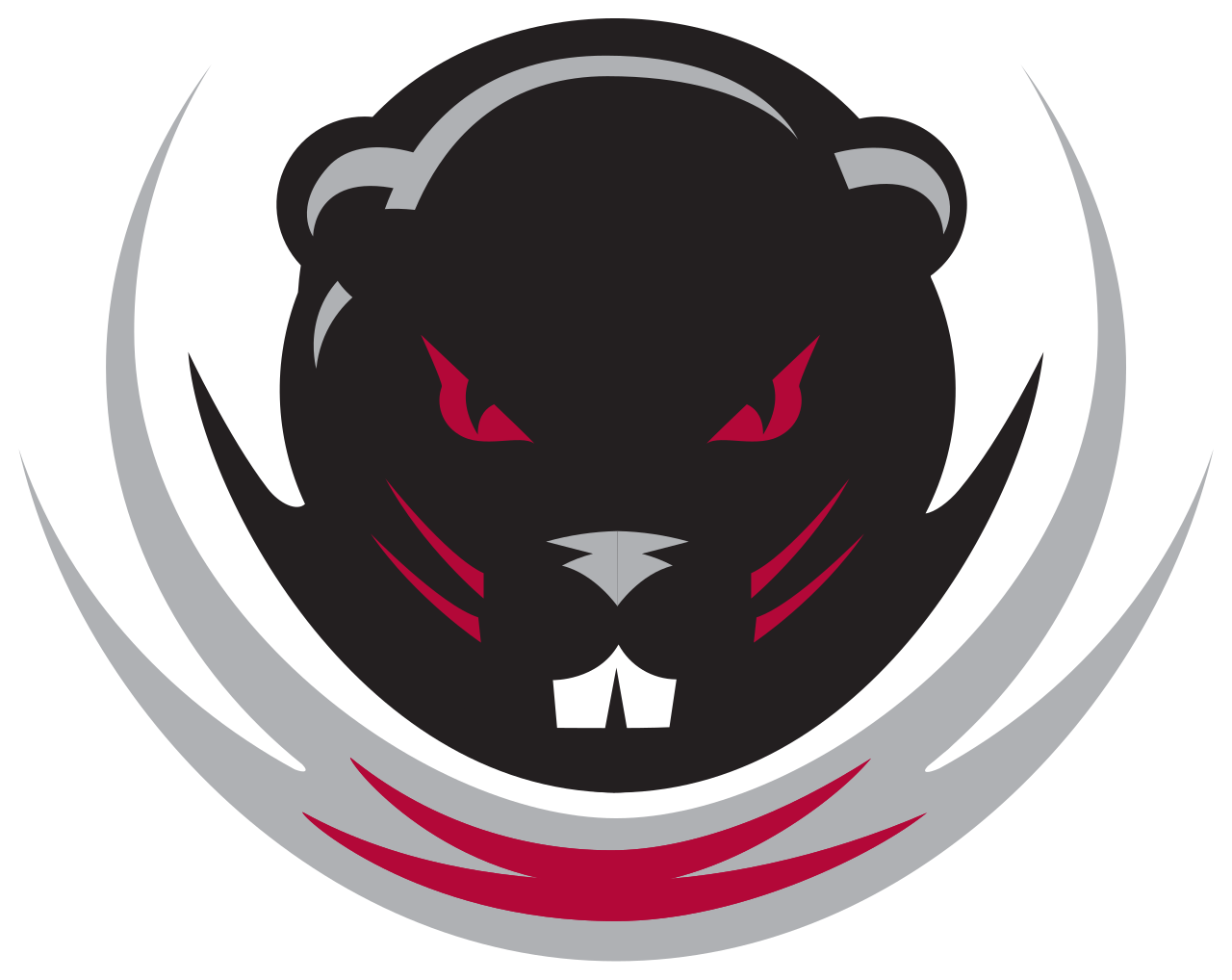 MIT Athletics logo